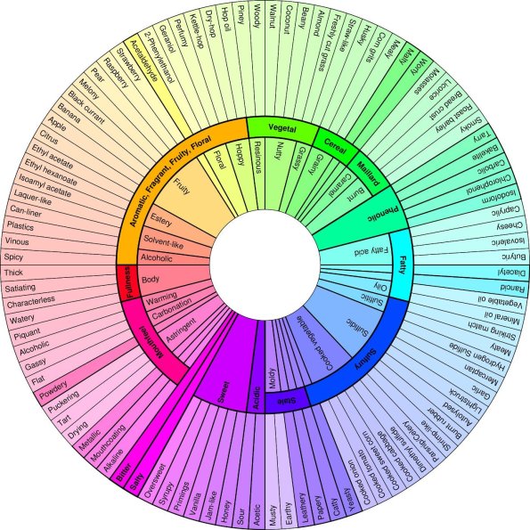 beer-flavor-wheel2