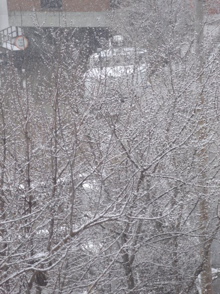 GEDSC DIGITAL CAMERA