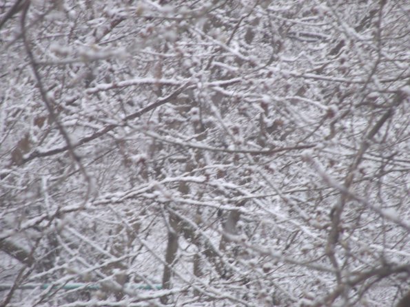 GEDSC DIGITAL CAMERA