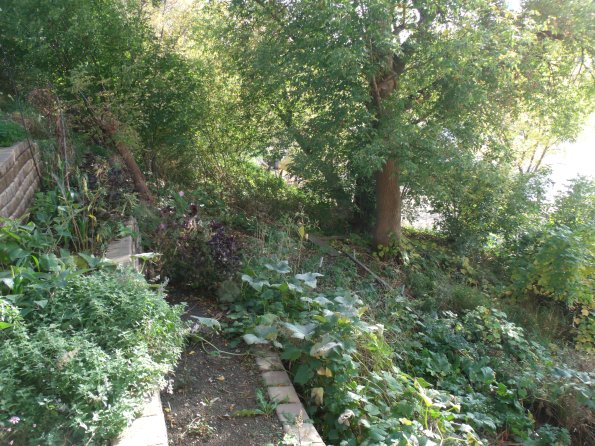 GEDSC DIGITAL CAMERA