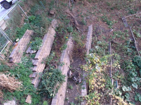 GEDSC DIGITAL CAMERA