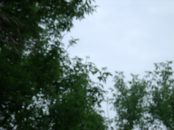 GEDSC DIGITAL CAMERA