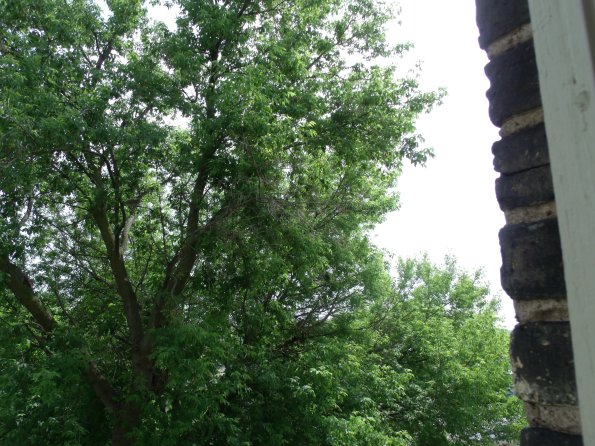 GEDSC DIGITAL CAMERA