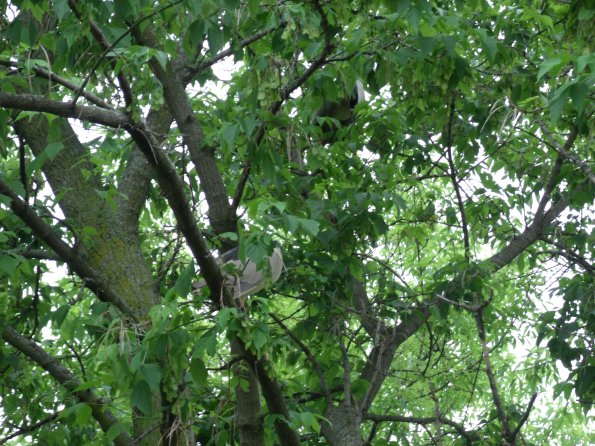 GEDSC DIGITAL CAMERA