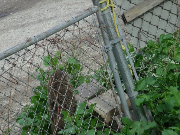 GEDSC DIGITAL CAMERA