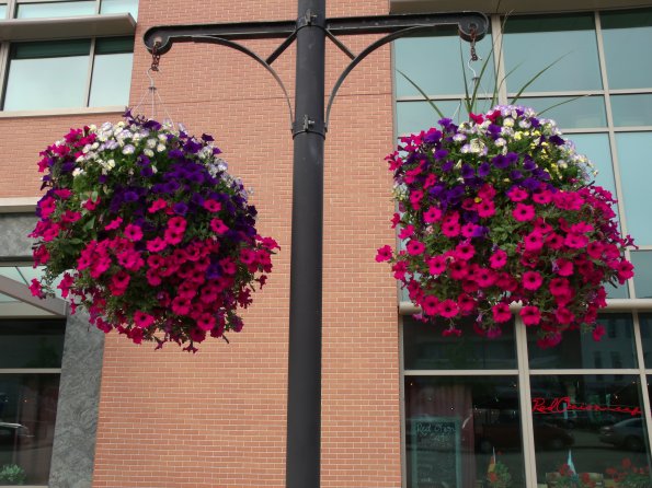 GEDSC DIGITAL CAMERA